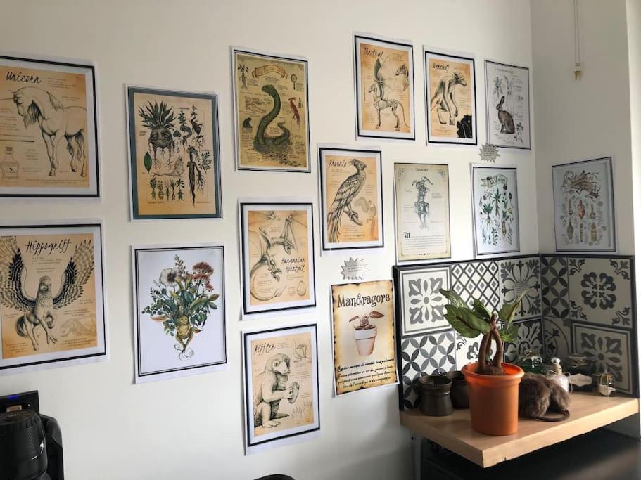 Maison Harry Potter Pour 6 Personnes En Centre Ville Montauban Ngoại thất bức ảnh