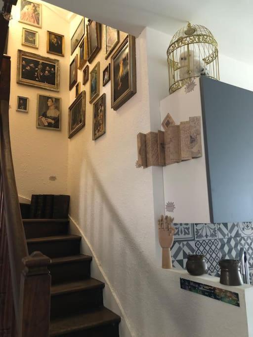 Maison Harry Potter Pour 6 Personnes En Centre Ville Montauban Ngoại thất bức ảnh