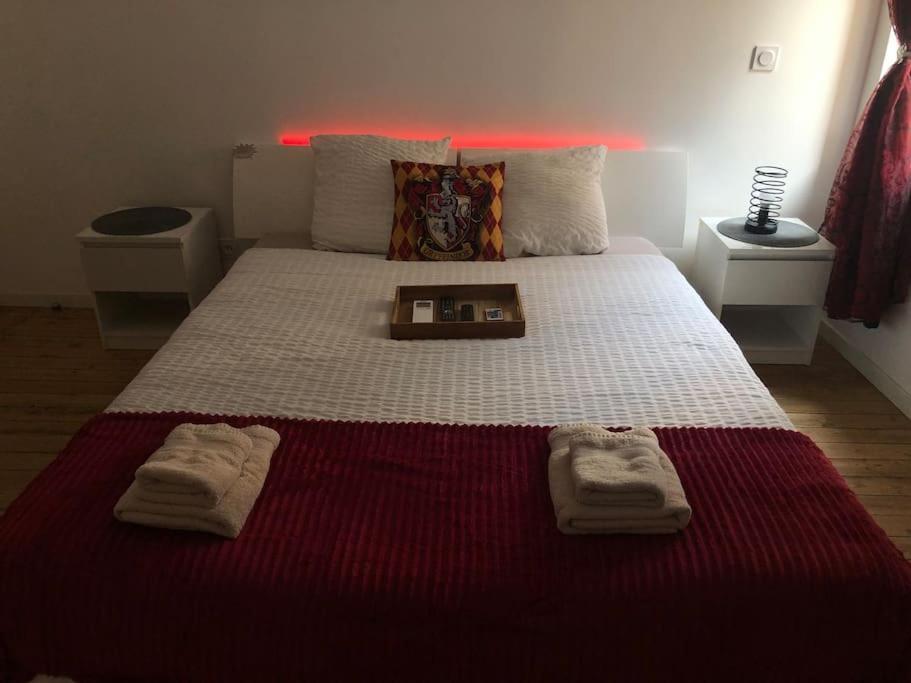Maison Harry Potter Pour 6 Personnes En Centre Ville Montauban Ngoại thất bức ảnh