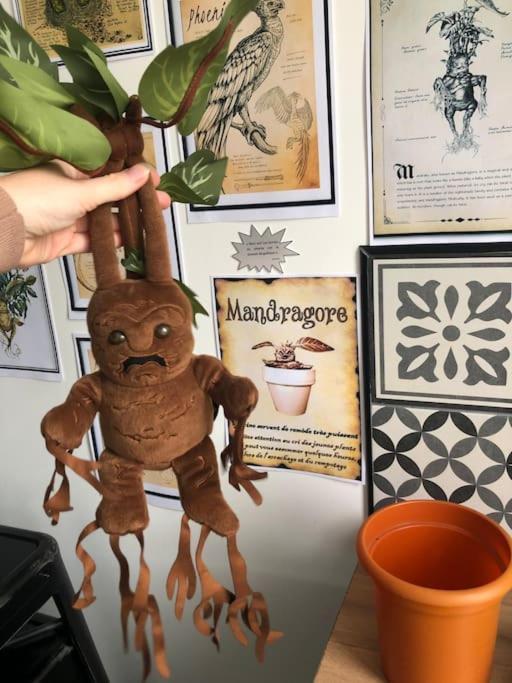 Maison Harry Potter Pour 6 Personnes En Centre Ville Montauban Ngoại thất bức ảnh